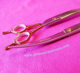 Camaleon curva detalle